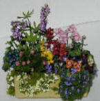 Mixed Flowers in Mossy Trough